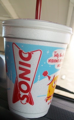 Sometimes you just wanna eat crap…Hello Sonic!