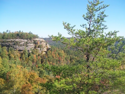Natural Bridge, Red River Gorge Cabin & Rose’s