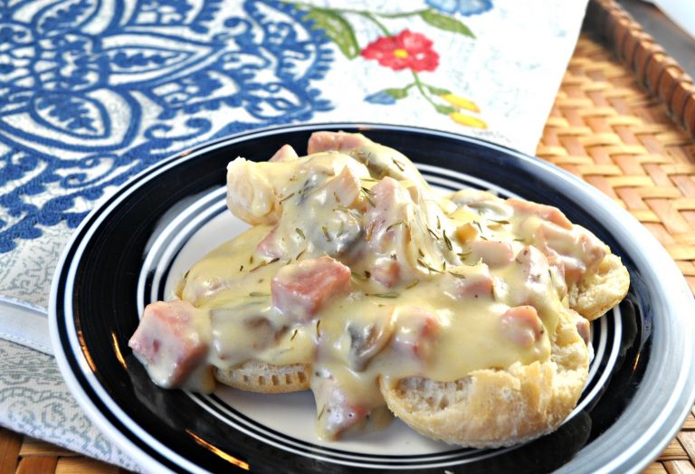 eMeals Subscription & Ham Stroganoff