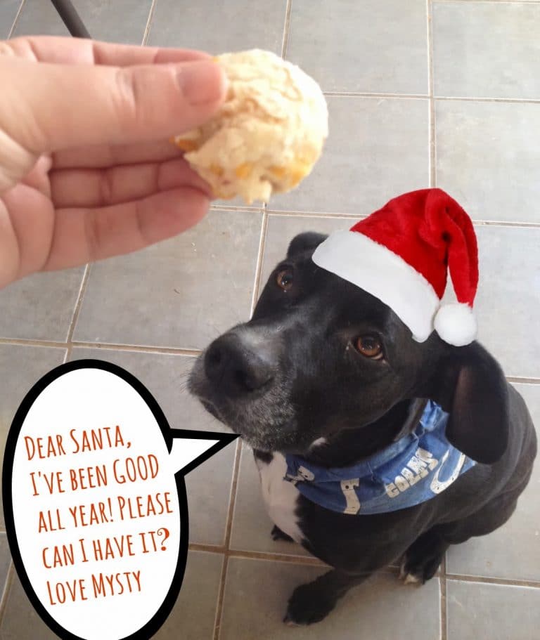 DIY: Bacon Cheddar Puppy Treats!