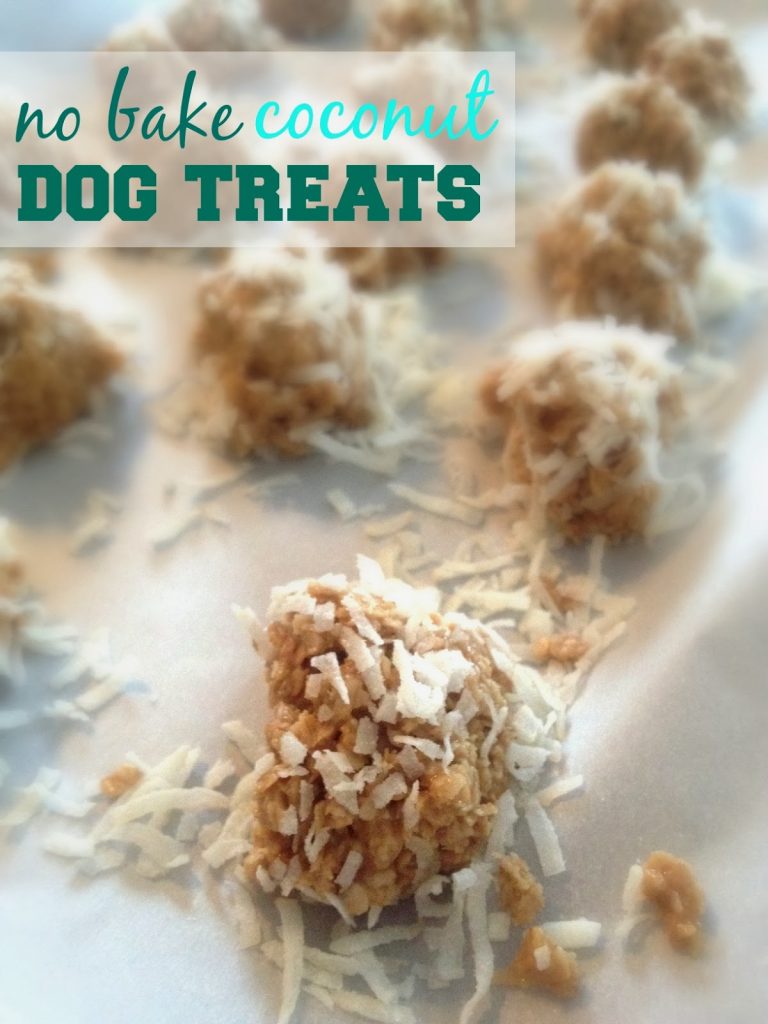 DIY: No-Bake Coconut Dog Treats