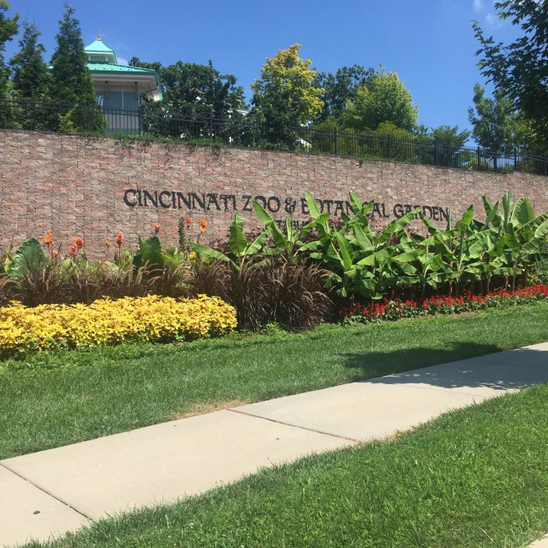 Behind the Scenes at the Cincinnati Zoo (Elephants, Brisket + More!)