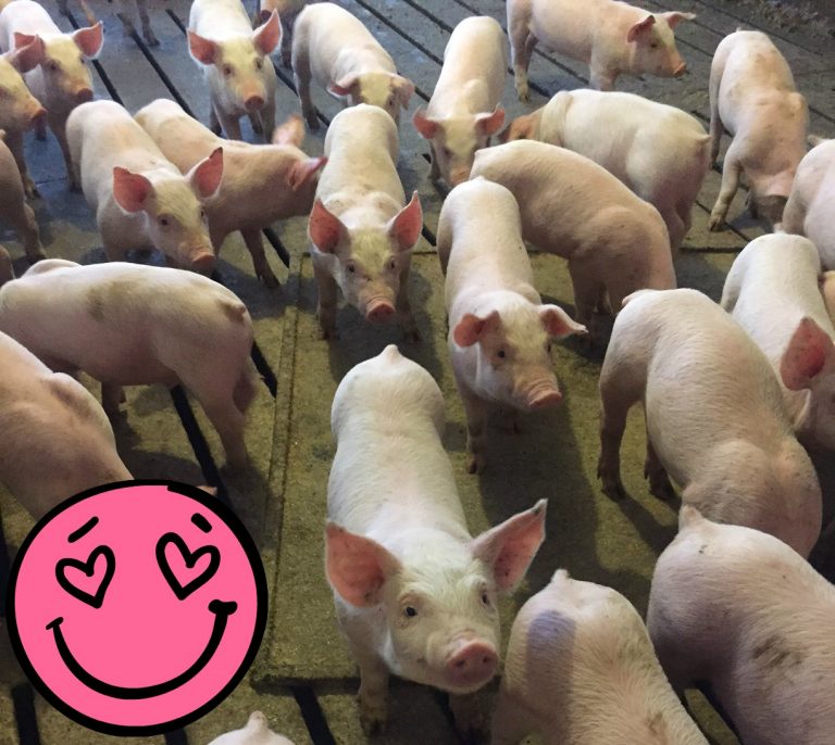Food Hussy: My visit with Uncle Squeals