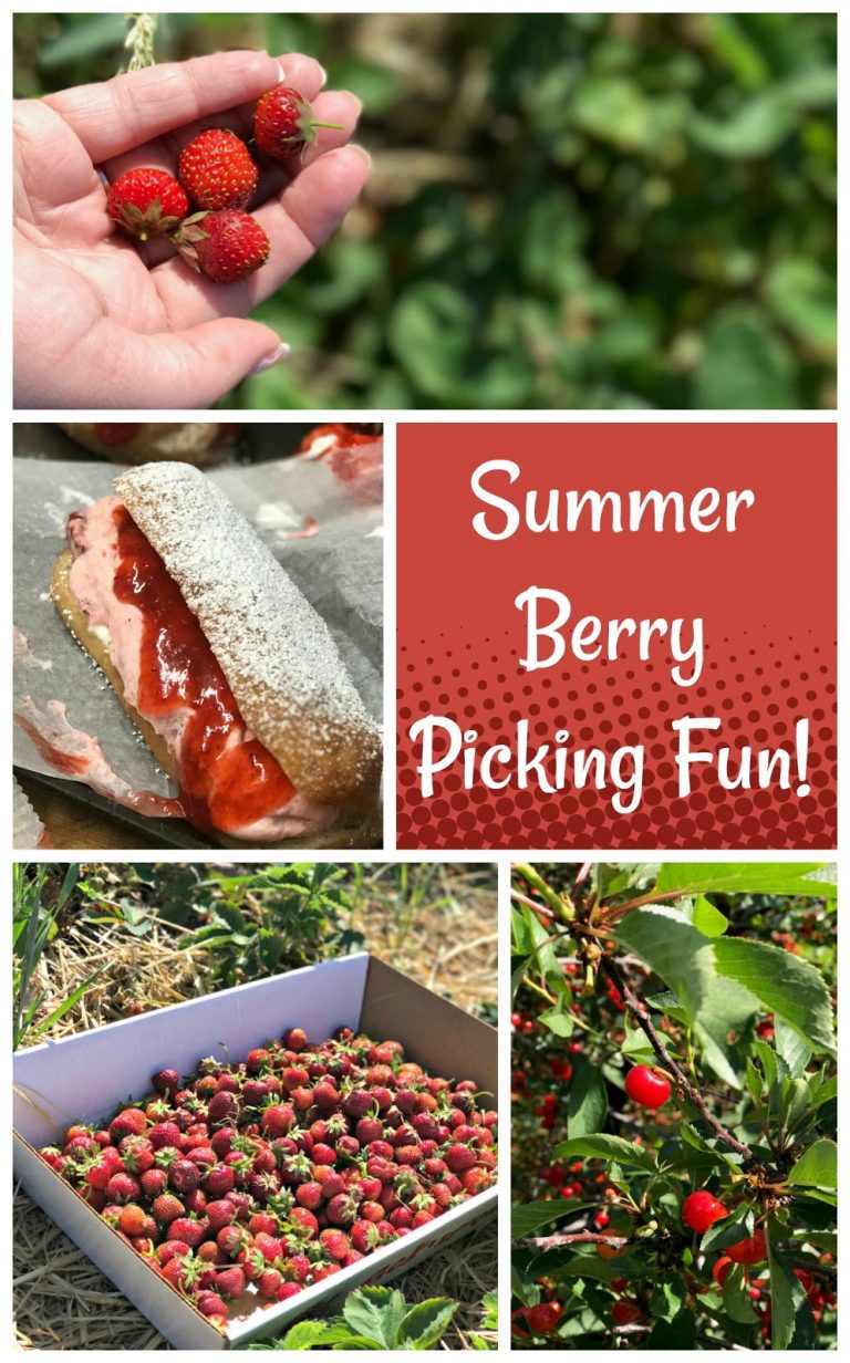 Summer Berry Picking in and around Cincinnati