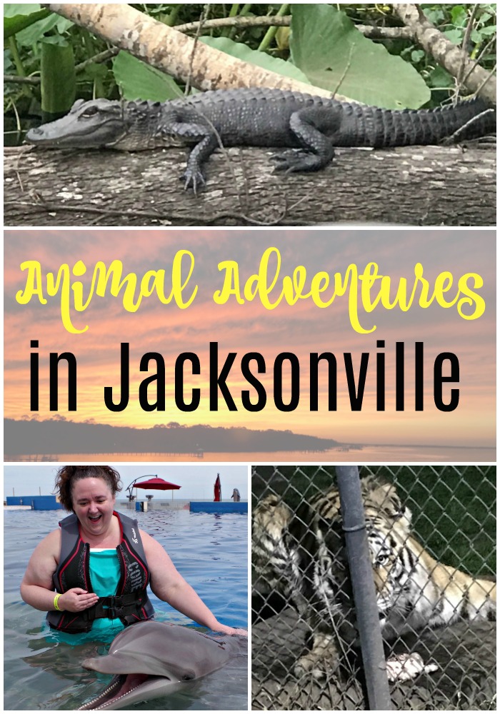 Road Trip: Animal Adventures in Jacksonville, Florida!