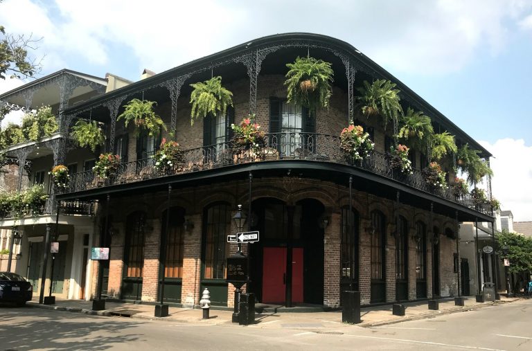 What to Eat in New Orleans