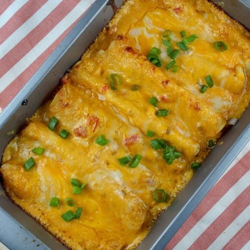 cheese and onion enchiladas