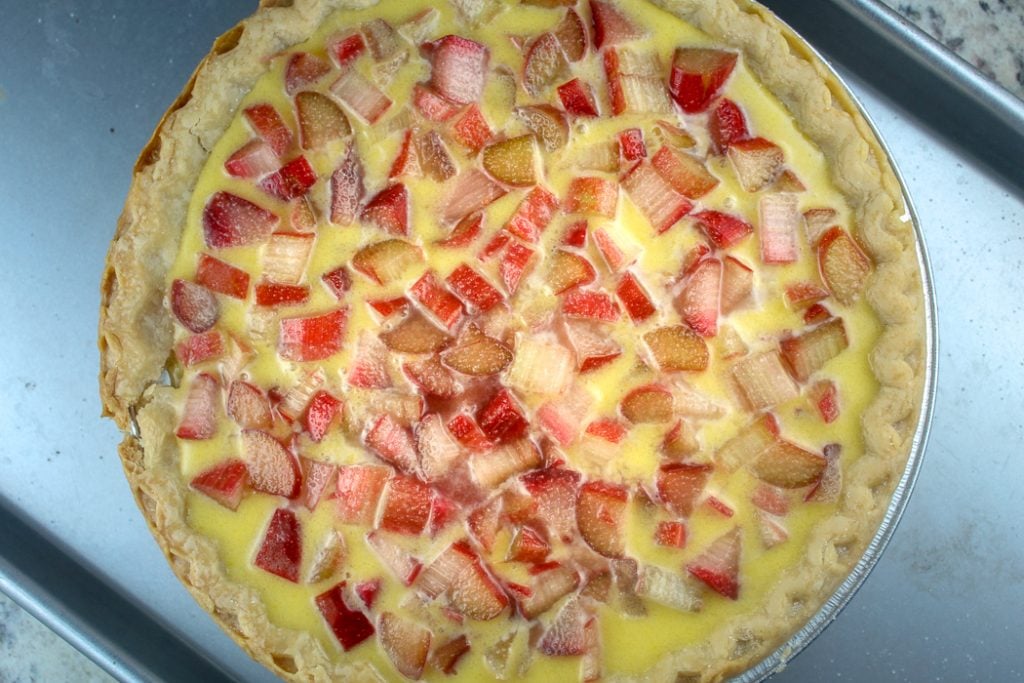 Rhubarb Custard Pie