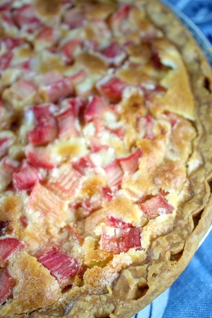 Rhubarb Custard Pie