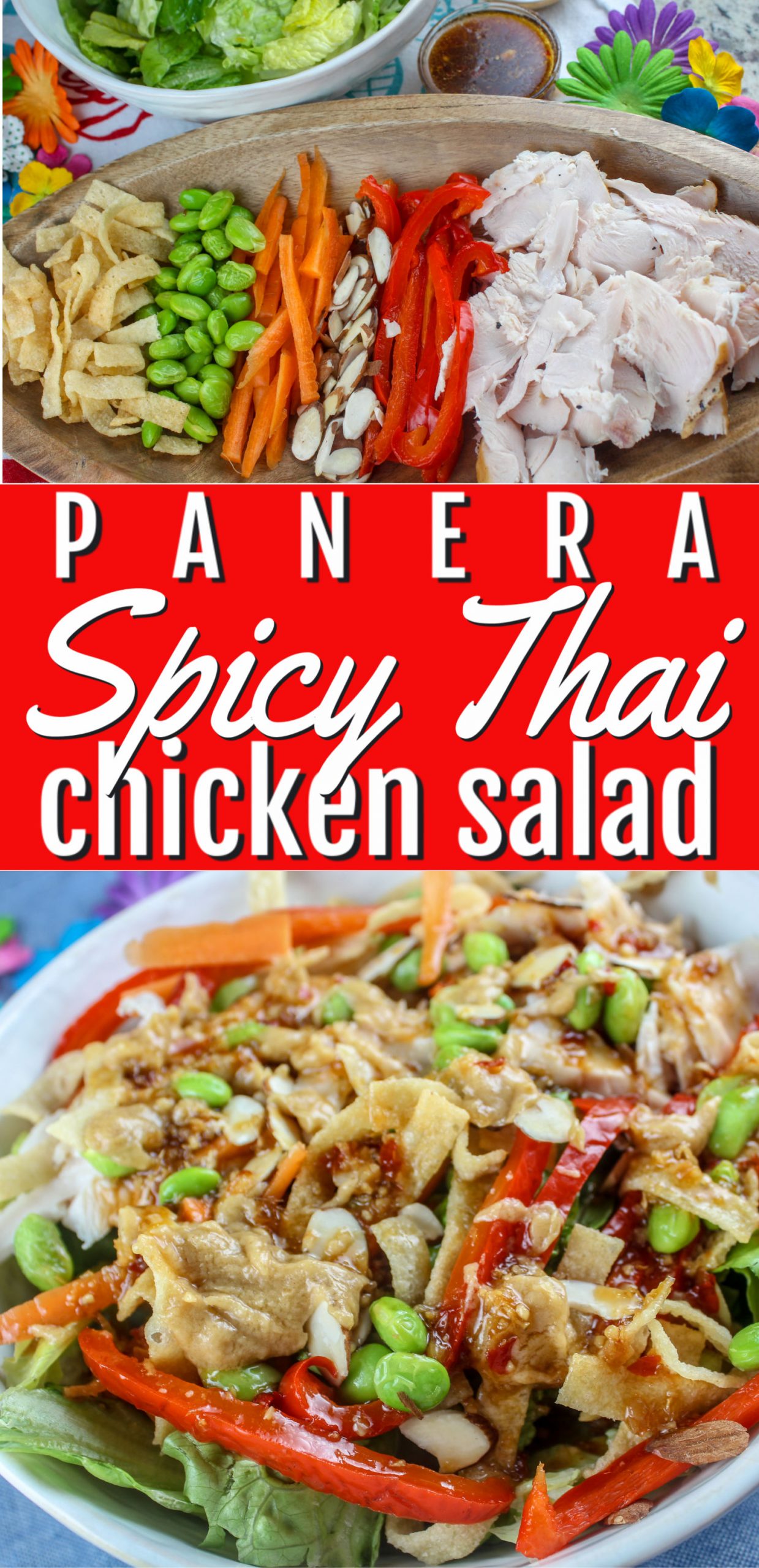 Love this Panera Spicy Thai Salad - there's so many different crunchy items packed into this salad and topped with a spicy dressing and peanut sauce - it's a favorite in our house! via @foodhussy