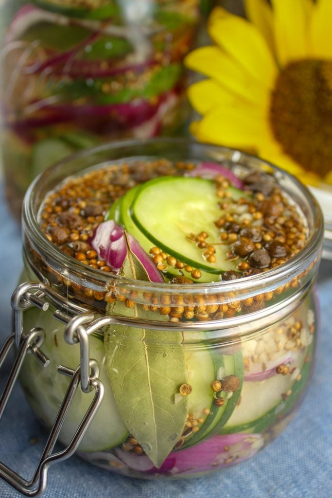 Cornichons de réfrigérateur sans cuisson