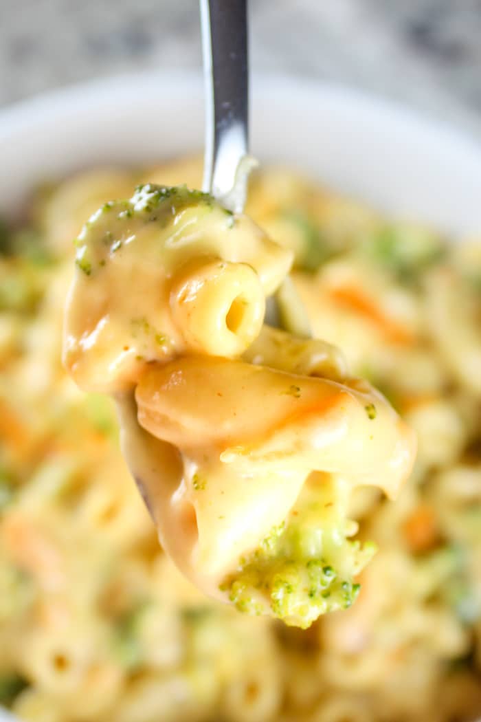 Copycat Panera Broccoli Cheddar Mac & Cheese The Food Hussy