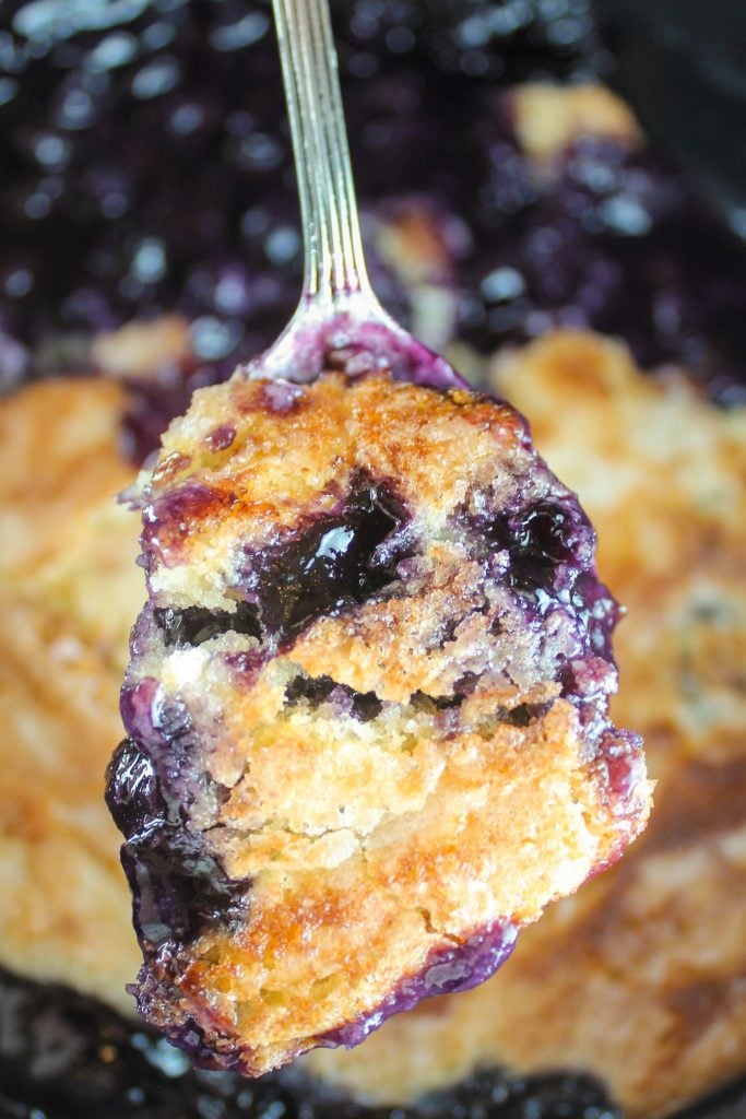 Dutch Oven Blueberry Cobbler