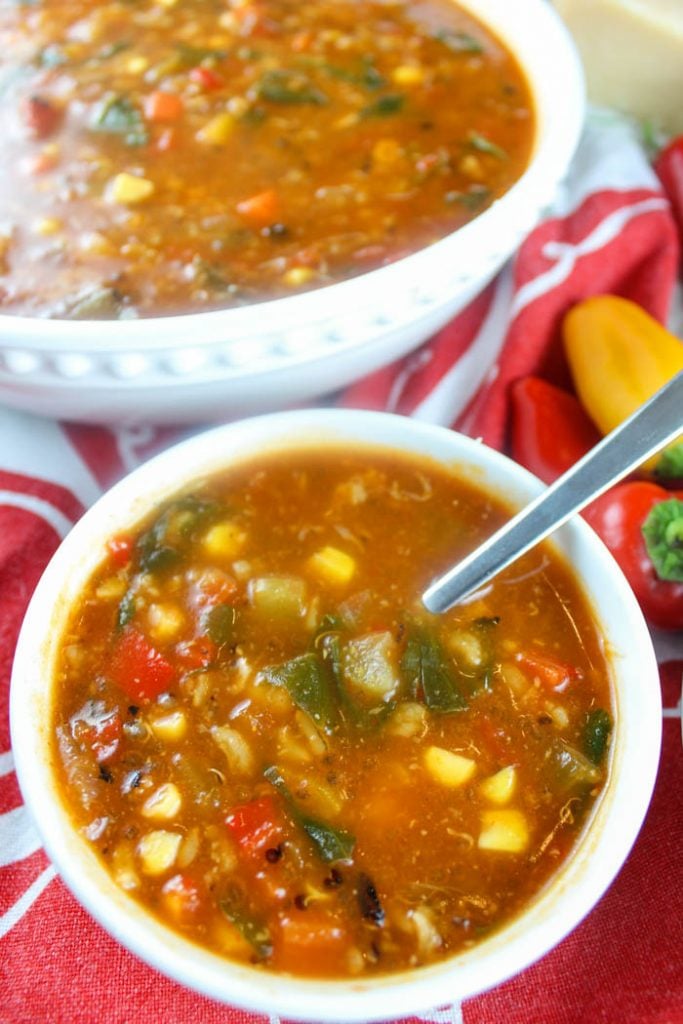 Copycat Panera Ten Vegetable Soup