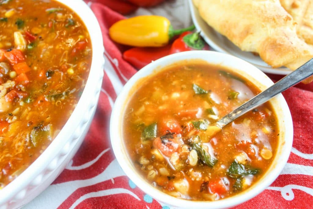 Copycat Panera Ten Vegetable Soup