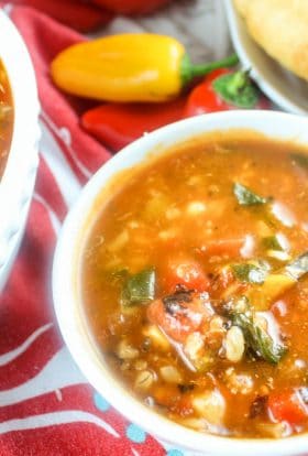 Copycat Panera Ten Vegetable Soup