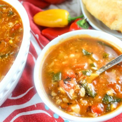 Copycat Panera Ten Vegetable Soup