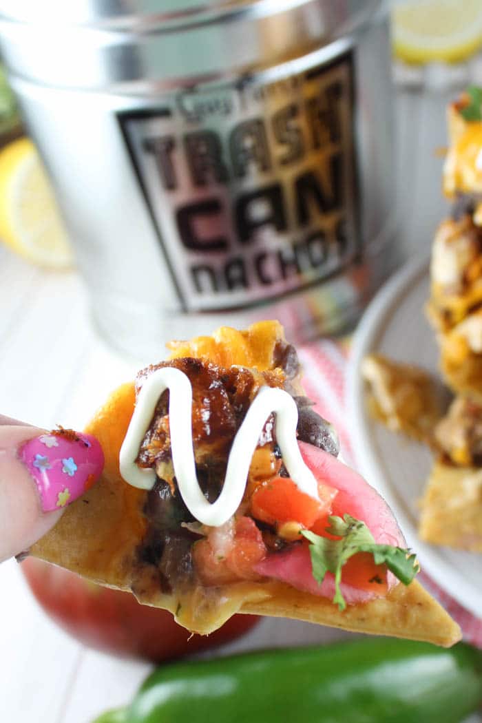 Copycat Trash Can Nachos Recipe The Food Hussy