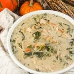 Creamy Autumn Chicken & Wild Rice Soup