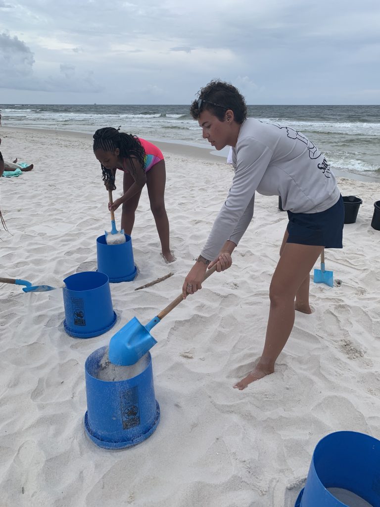 sandcastle university