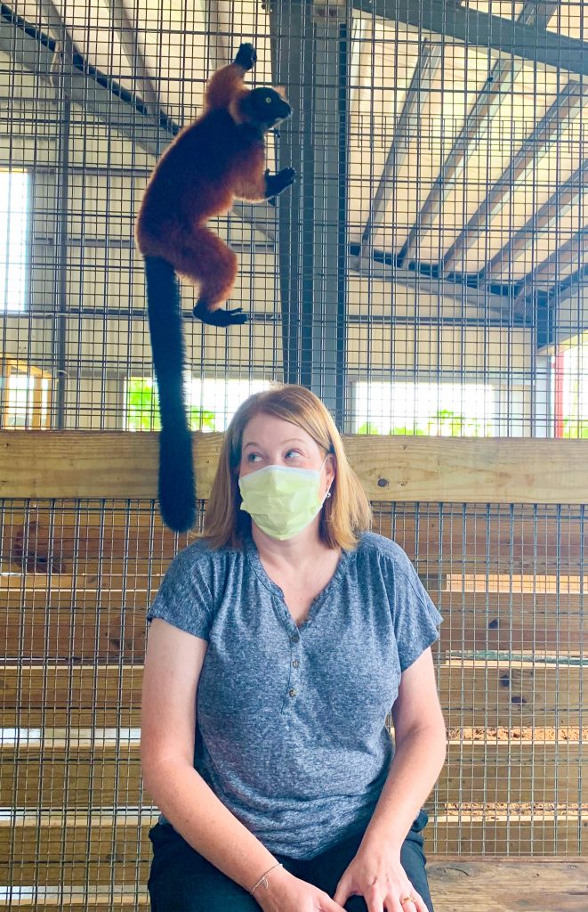 Lemur experience at Alabama Gulf Coast Zoo