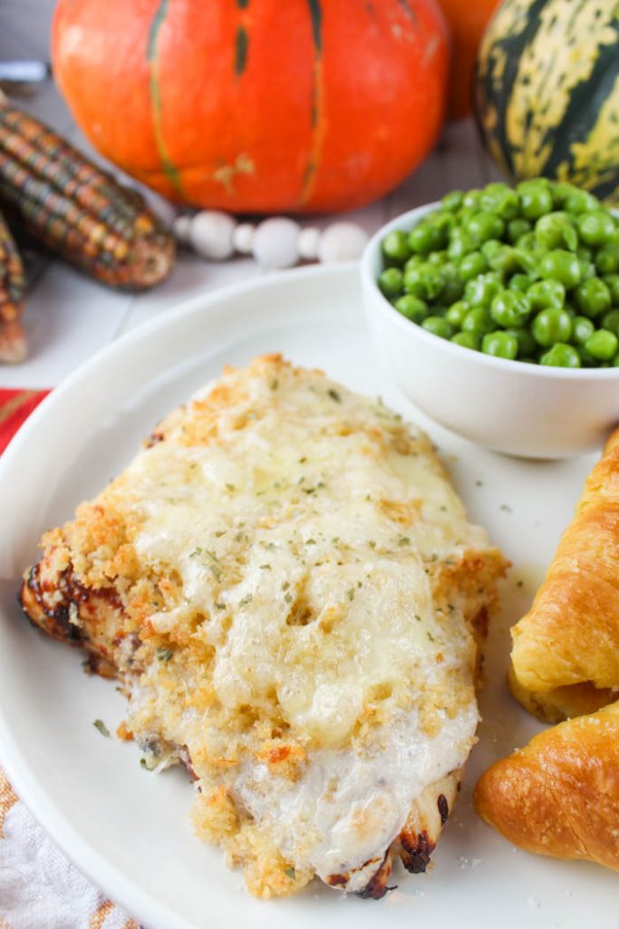 Parmesan Crusted Chicken in the Air Fryer