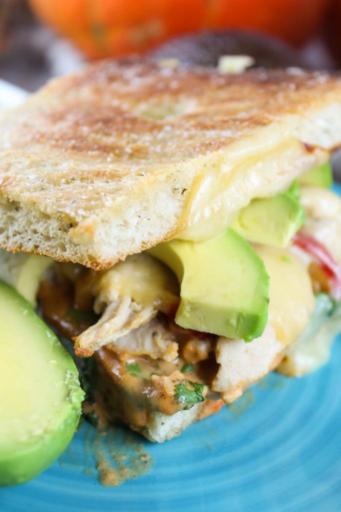 Copycat Panera Chipotle Chicken Avocado Melt