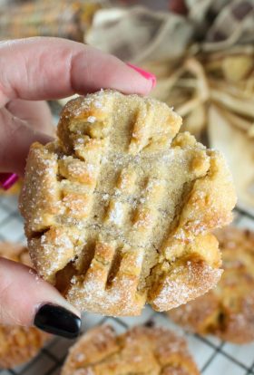 cropped-air-fryer-peanut-butter-cookies-16-scaled-1.jpg