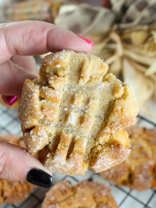 cropped-air-fryer-peanut-butter-cookies-16-scaled-1.jpg