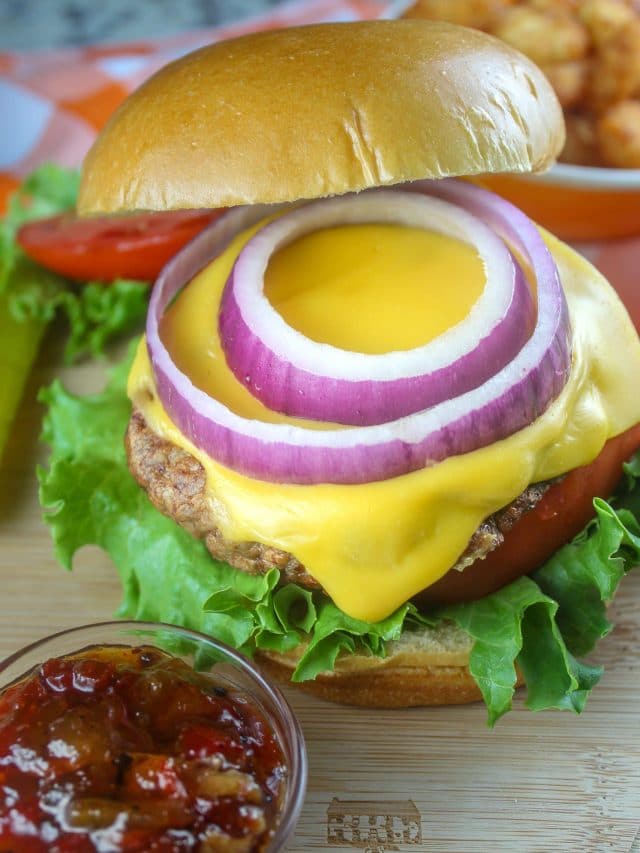 cropped-air-fryer-frozen-hamburger-1-scaled-1.jpg