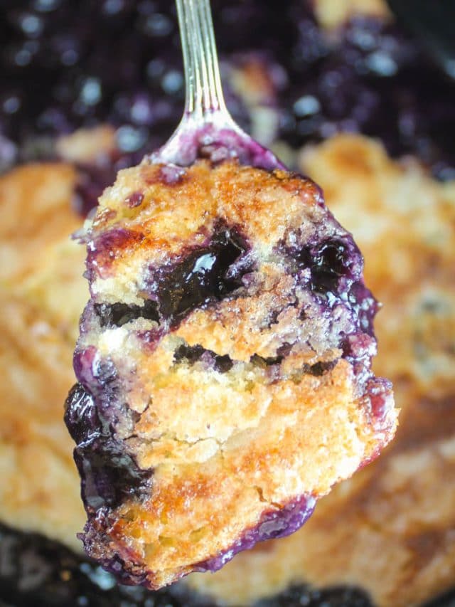 cropped-Dutch-Oven-Blueberry-Cobbler-sm-12.jpg