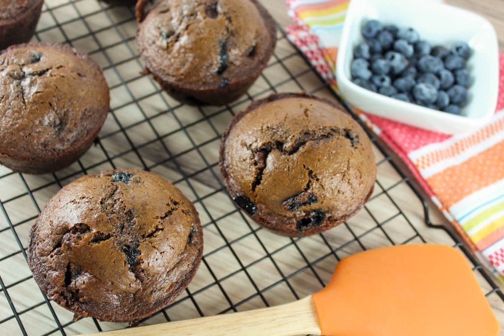 Double Chocolate Blueberry Muffins