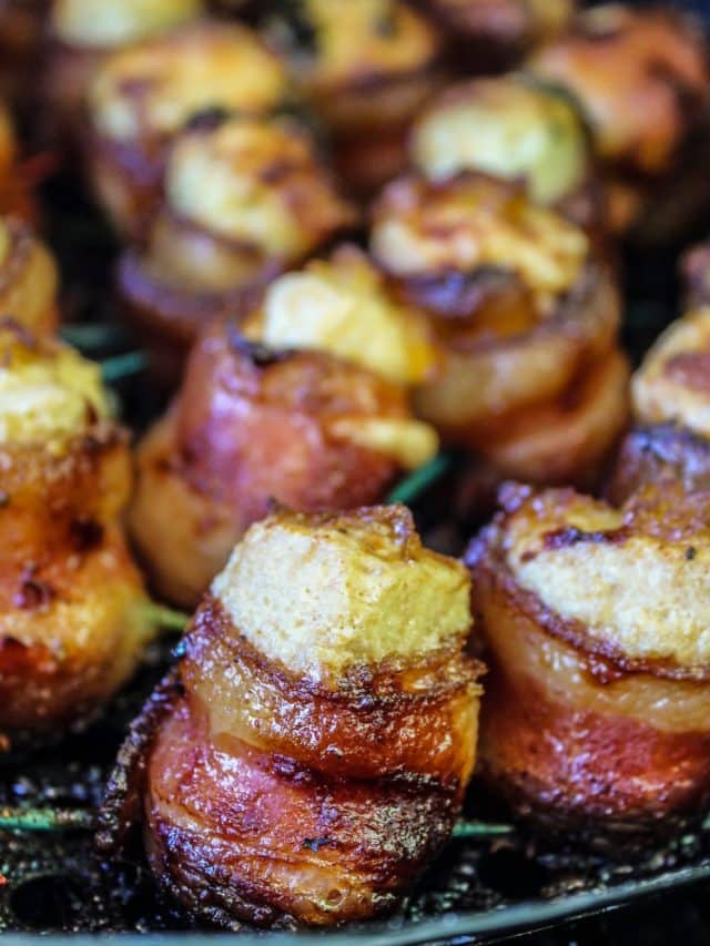cropped-pig-shots-7-1365x2048-1.jpg