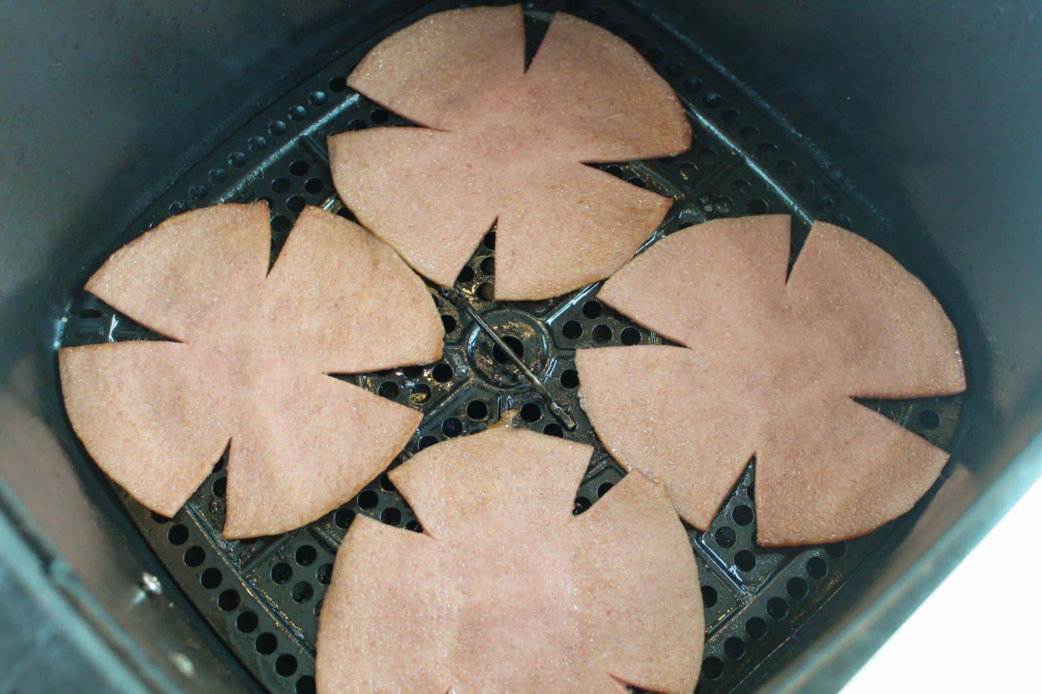 Fried Bologna in the Air Fryer The Food Hussy