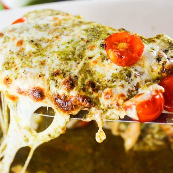 Copycat Olive Garden Chicken Margherita The Food Hussy