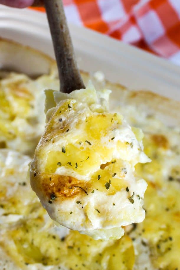 Scalloped Potatoes for Two - The Food Hussy