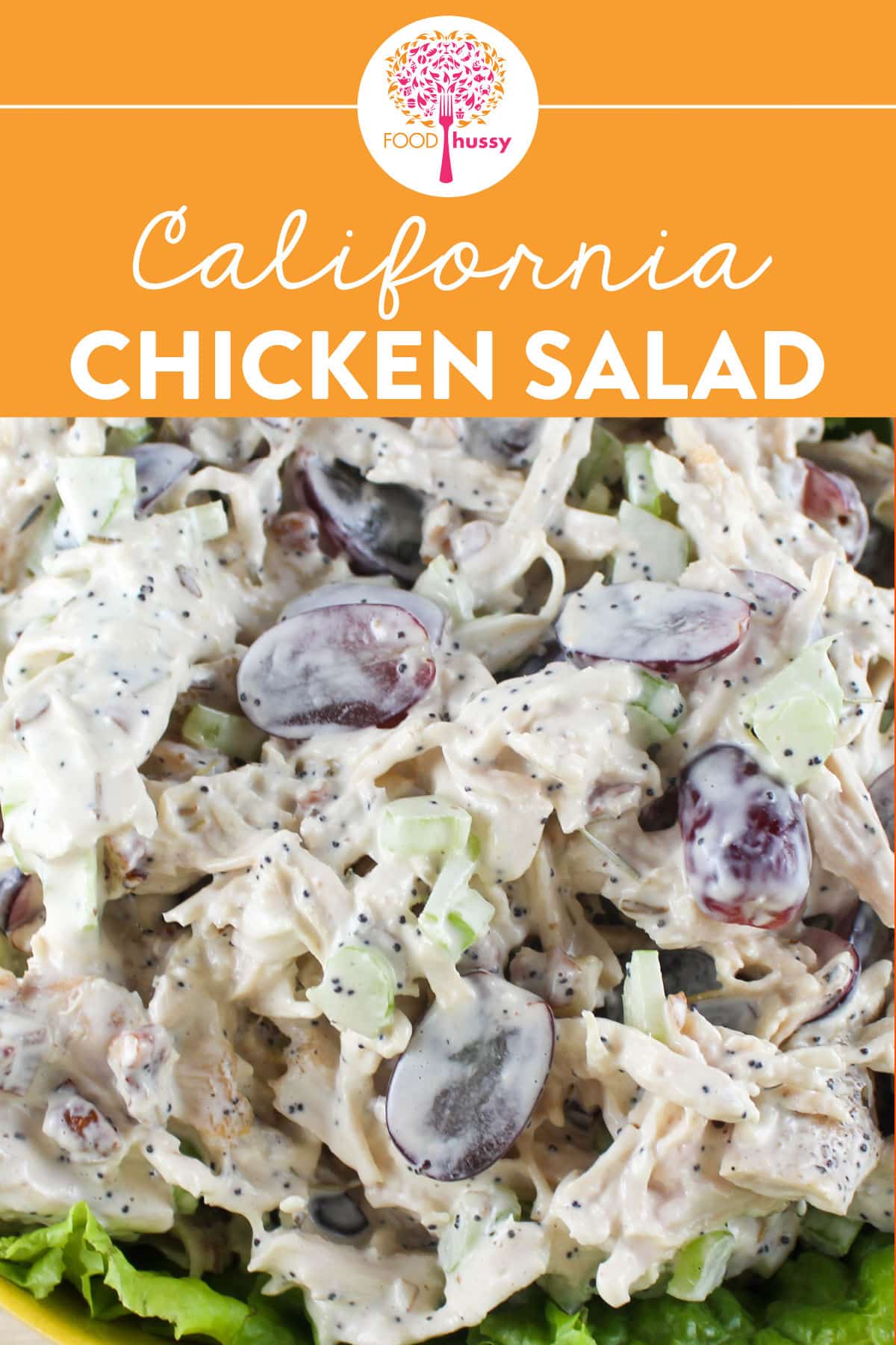 This California Chicken Salad tastes just like the Sonoma Chicken Salad at Whole Foods! It's creamy and crunchy all at the same time with diced celery, red grapes and chopped pecans!
 via @foodhussy