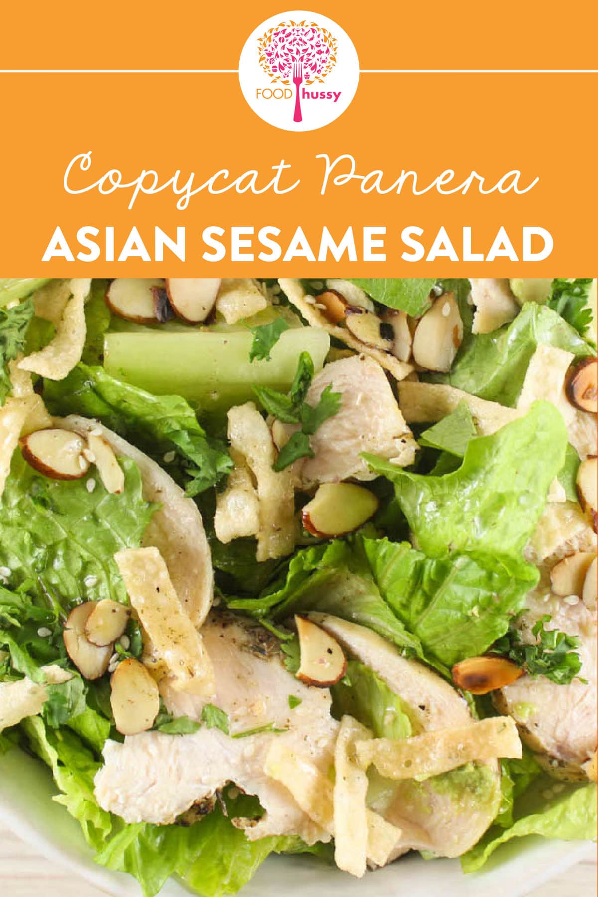 This Asian Sesame Salad from Panera is one of my favorite salads on their menu and it's so easy to make at home! Juicy slices of chicken, crunchy romaine lettuce, fresh cilantro, toasted almonds, sesame seeds and wonton strips (what a crunch!) tossed in a delicious and sweet Asian sesame vinaigrette. via @foodhussy