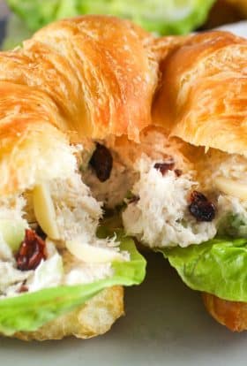 Chicken Salad Chick Cranberry Kelli