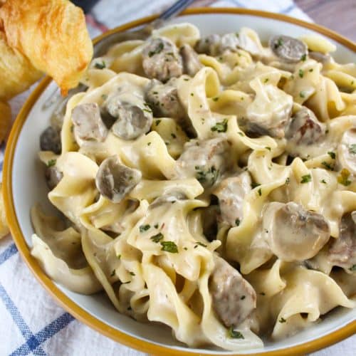 5 Ingredient Crock Pot Beef Stroganoff