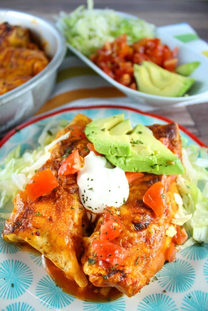 Air Fryer Enchiladas