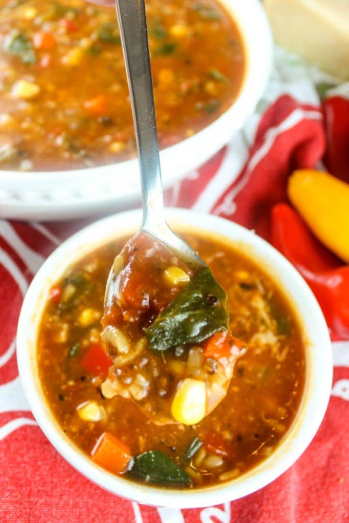 Copycat Panera Ten Vegetable Soup