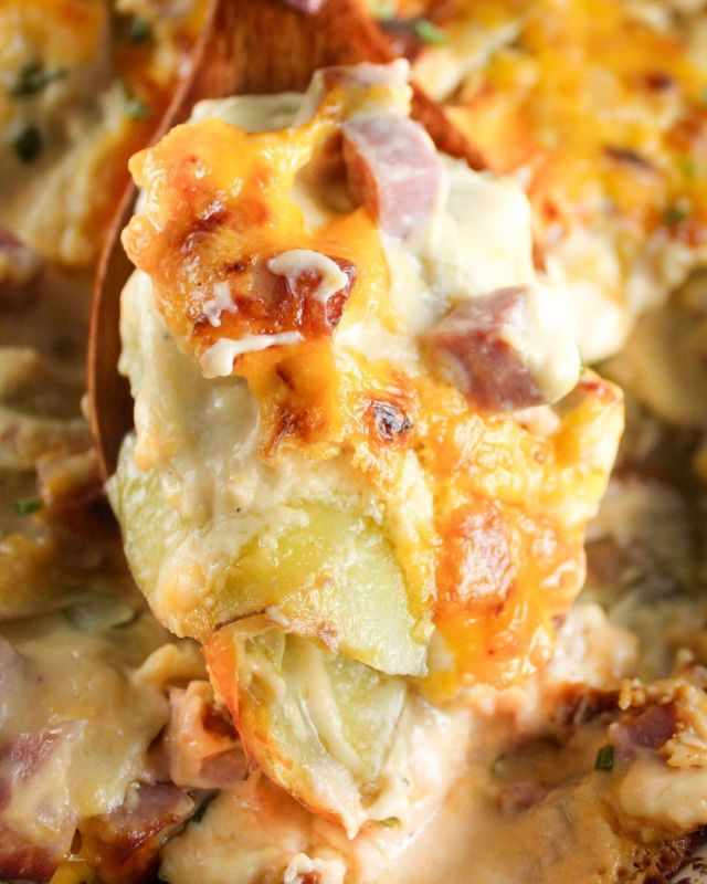 Potatoes Au Gratin with Ham are the perfect comfort food dinner! ➡️ ➡️ Comment RECIPE and I'll DM you the info!
You'll be shocked that your parents fed you the ones from a box for so long! Making your own cheese sauce is easy and the taste is so much better! #augratin #potatoes #ham #leftoverham #recipe